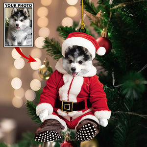 Personalized Gift For Pet Lovers Pet In Santa Claus Costume, Christmas Ornament, Christmas Gift