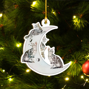 American Shorthair Cat Ornaments Set, Meowy Christmas Ornaments Set, Funny Xmas Ornaments Family Gift Idea For Cat Lover