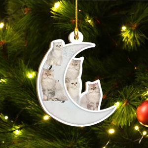 Persian Cat Ornaments Set, Meowy Christmas Ornaments Set, Funny Xmas Ornaments Family Gift Idea For Cat Lover