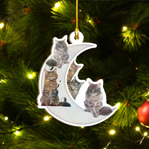 Maine Coon Cat Ornaments Set, Meowy Christmas Ornaments Set, Funny Xmas Ornaments Family Gift Idea For Cat Lover