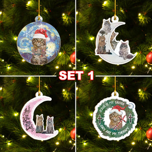 Maine Coon Cat Ornaments Set, Meowy Christmas Ornaments Set, Funny Xmas Ornaments Family Gift Idea For Cat Lover