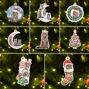 Maine Coon Cat Ornaments Set, Meowy Christmas Ornaments Set, Funny Xmas Ornaments Family Gift Idea For Cat Lover