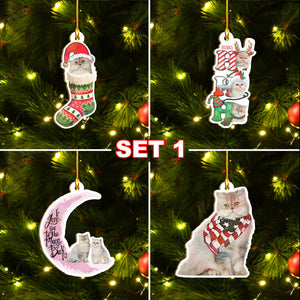 Persian Cat Ornaments Set, Meowy Christmas Ornaments Set, Funny Xmas Ornaments Family Gift Idea For Cat Lover