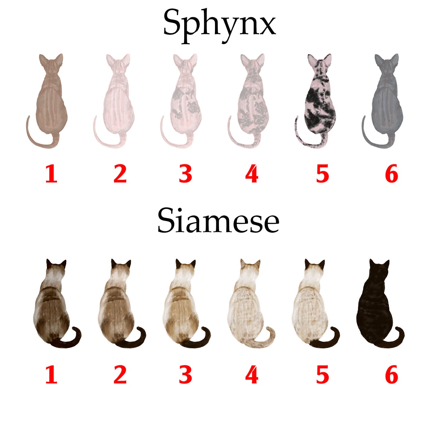 Personalized Picture Personalised Pet Print, Custom Unique Cat Portrait, Pet owner Gift, Gift for Her, Gift for Him, Pet Family Gift, Cat Owner Present, Cat Gift