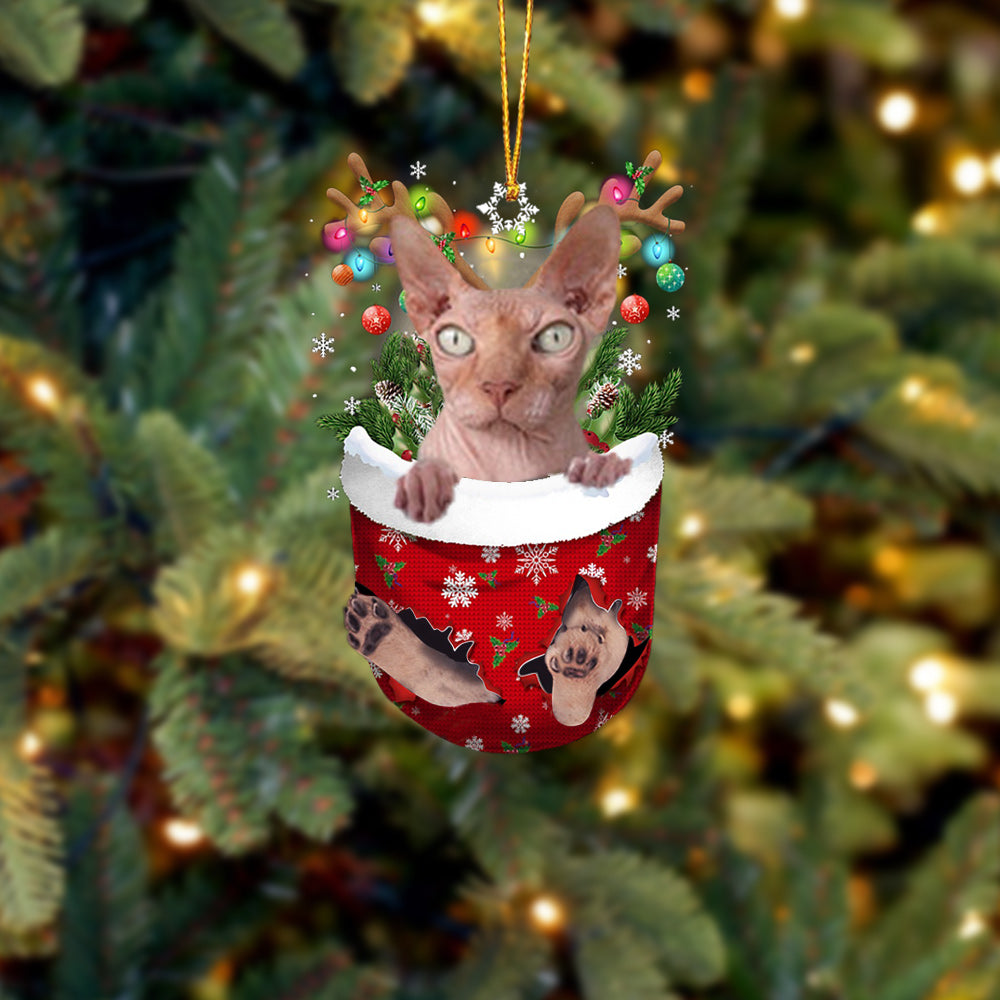 Bambino Cat In Snow Pocket Christmas Ornament - Best gifts your whole family