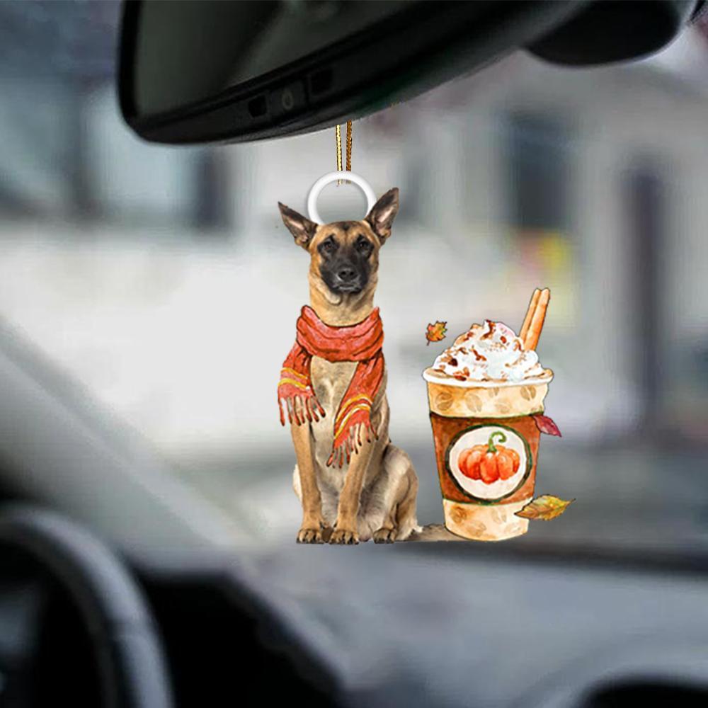 Belgian Malinois-Pumpkin Spice Kinda-Two Sided Ornament - Best gifts your whole family