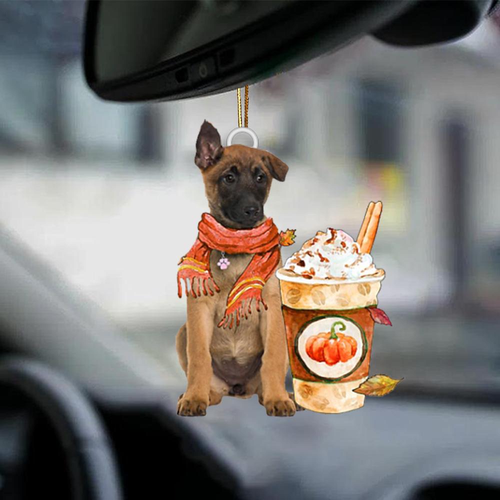Belgian Shepherd-Pumpkin Spice Kinda-Two Sided Ornament - Best gifts your whole family