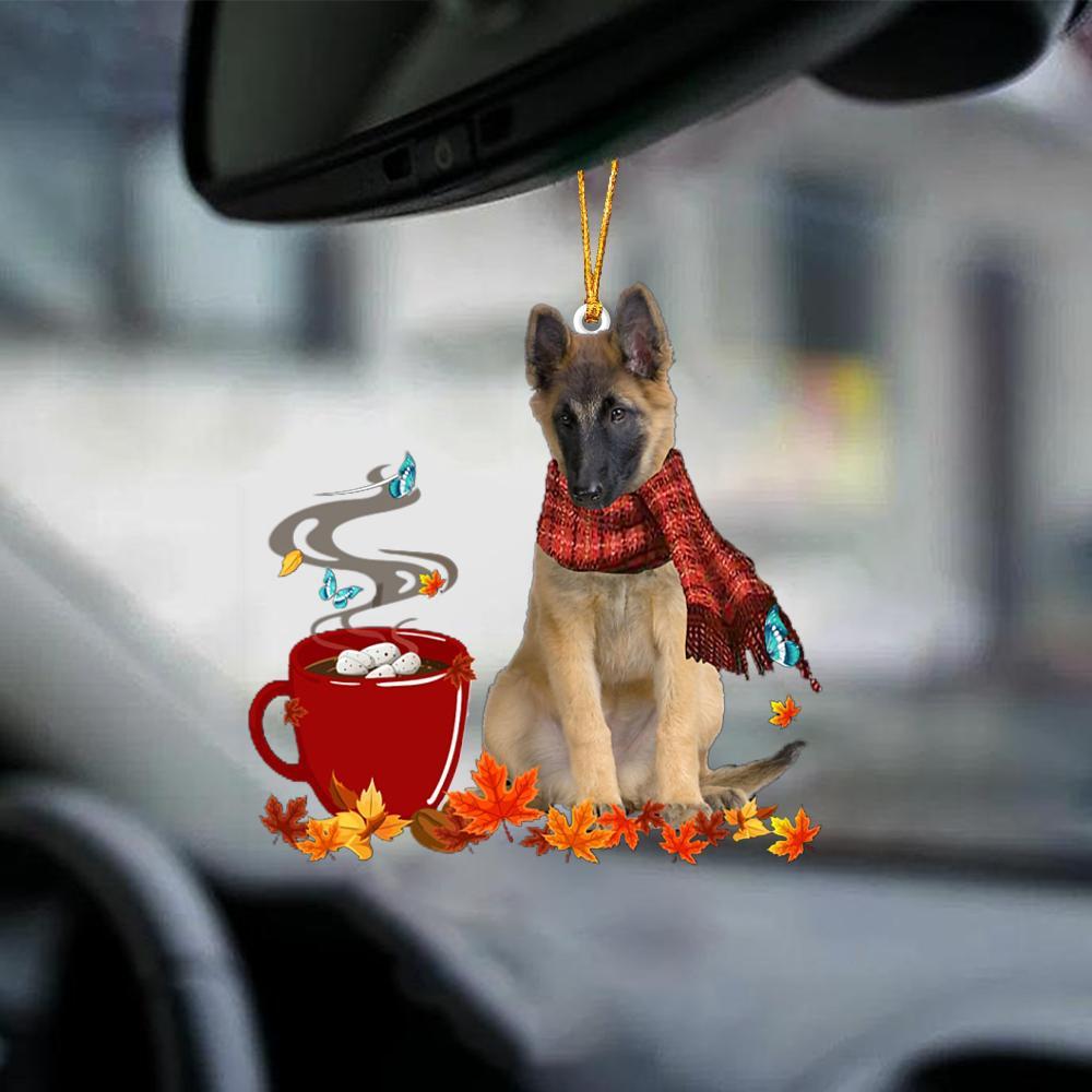 Belgian Tervuren-Fall Chocolate-Two Sided Ornament - Best gifts your whole family
