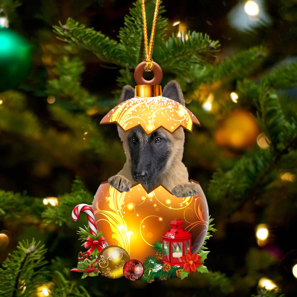 Belgian Tervuren In Golden Egg Christmas Ornament - Best gifts your whole family