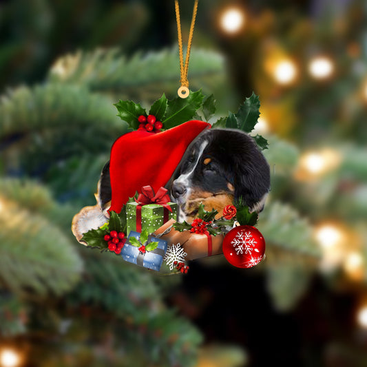 Bernese Mountain Dog-Sleeping In Hat Two Sides Ornament Dog Sleeping Ornament - Best gifts your whole family