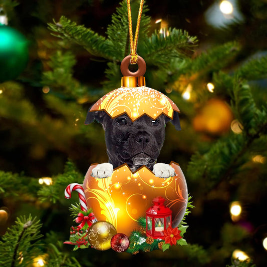 BLACK American Staffordshire Terrier In Golden Egg Christmas Ornament - Best gifts your whole family
