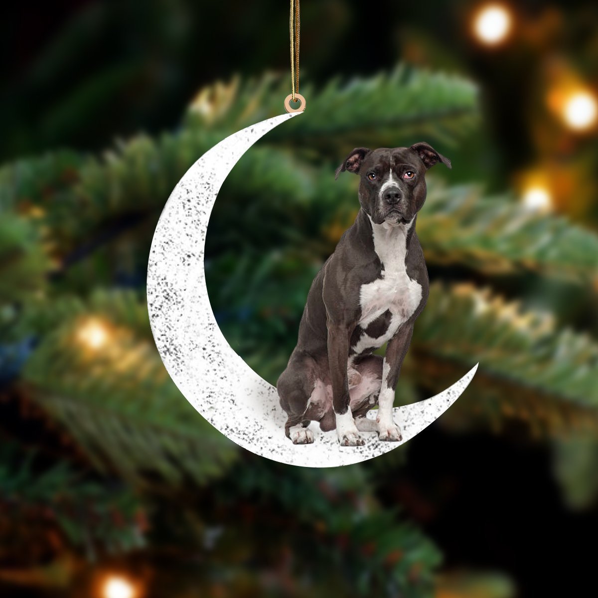 Black And White Pitbull Sit On The Moon Two Sided Ornament Dog Hanging Christmas Ornament - Best gifts your whole family