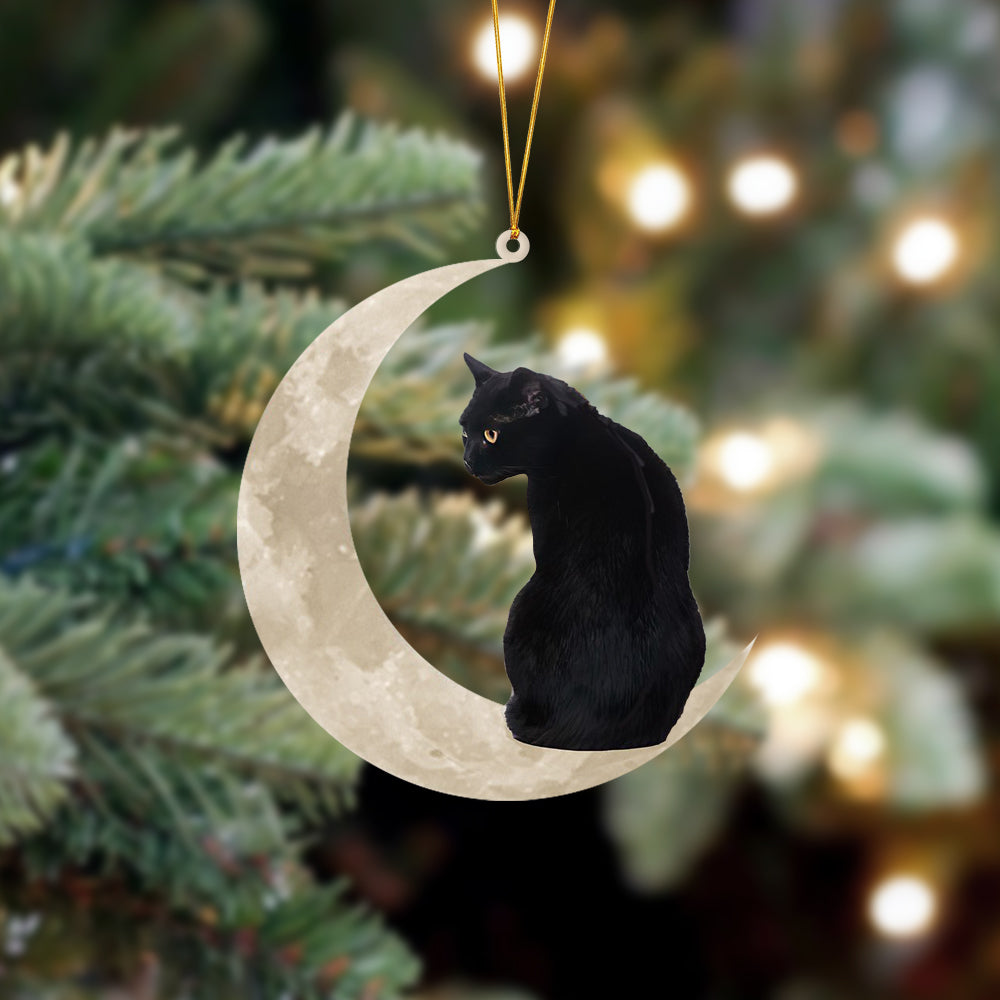 Black Cat Sits On The Moon Hanging Ornament, Animal Christmas Ornaments - Best gifts your whole family