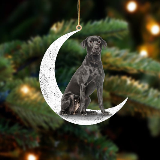 Black Labrador 2-Sit On The Moon-Two Sided Ornament - Best gifts your whole family