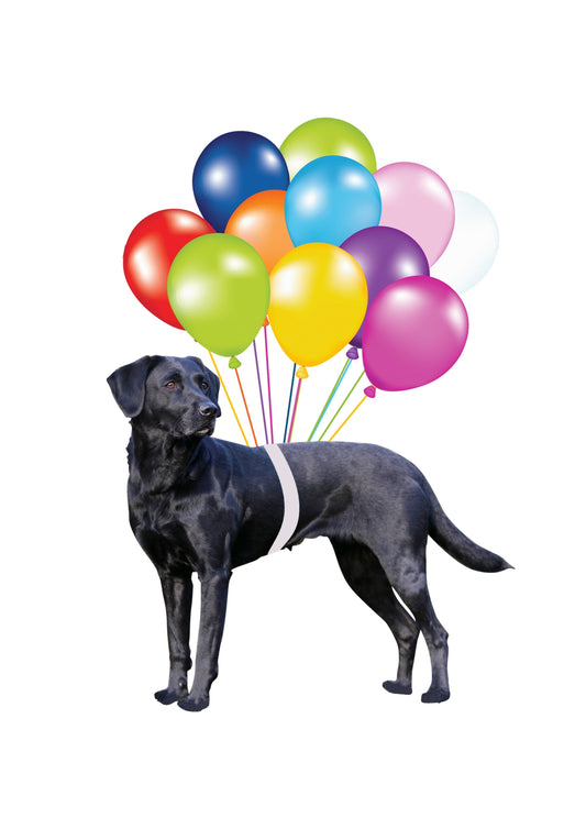 Black Labrador Fly With Bubbles Hanging Ornament Dog Ornament Godmerc - Best gifts your whole family