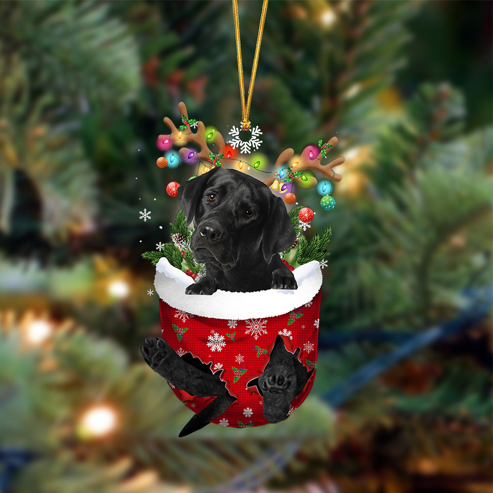 Black Labrador-In Christmas Pocket Two Sides Ornament, Christmas Dog Hanging Ornament - Best gifts your whole family