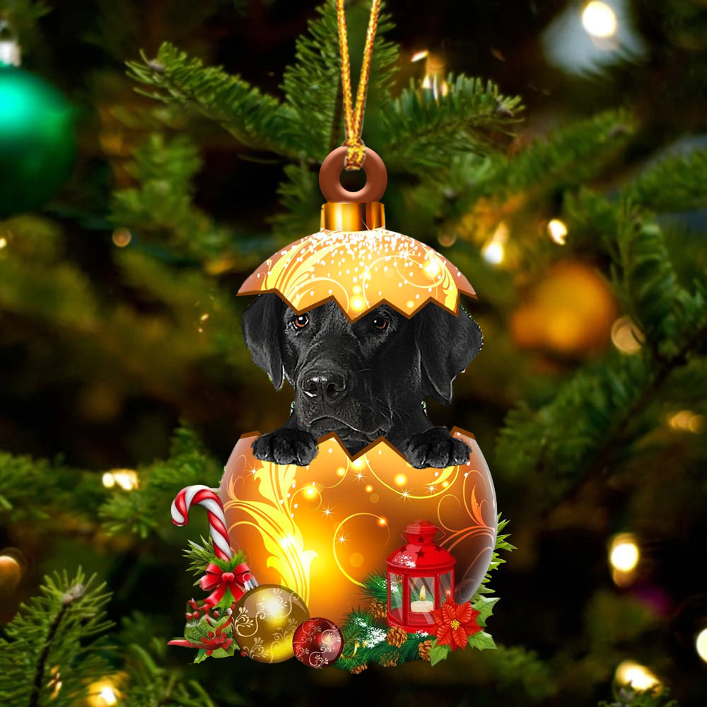 BLACK Labrador In Golden Egg Christmas Ornament - Best gifts your whole family