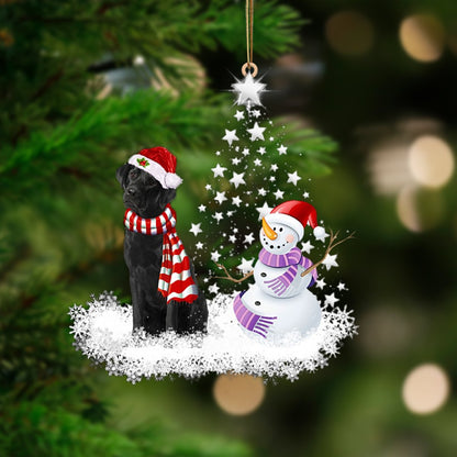 Black Labrador-Star Tree Hanging Ornament - Best gifts your whole family