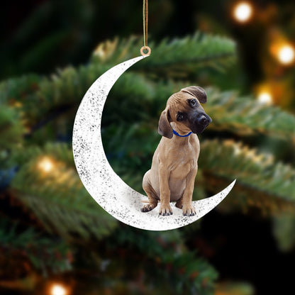 Black Mouth Cur Sit On The Moon Two Sided Ornament Dog Hanging Christmas Ornament - Best gifts your whole family