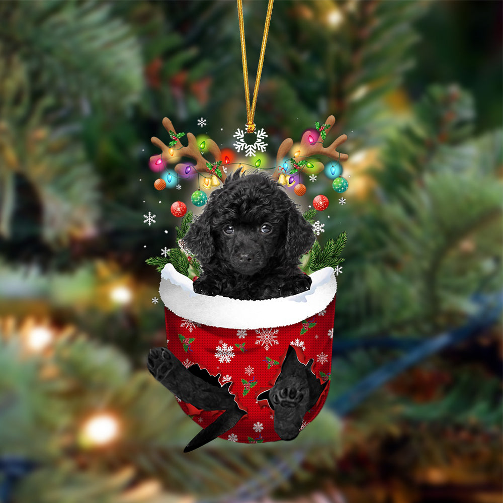 Black Toy Poodle-In Christmas Pocket Two Sides Ornament, Christmas Dog Hanging Ornament - Best gifts your whole family