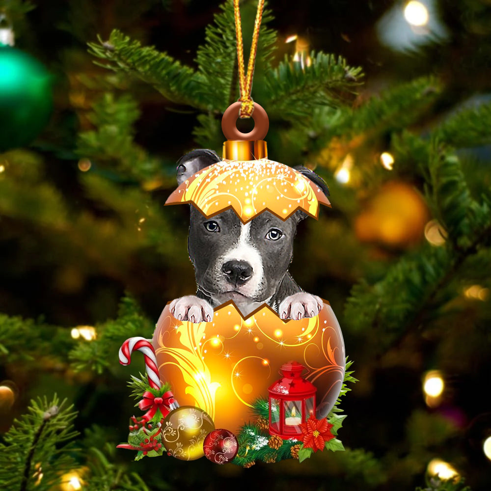 BLUE Nose Pitbull In Golden Egg Christmas Ornament - Best gifts your whole family