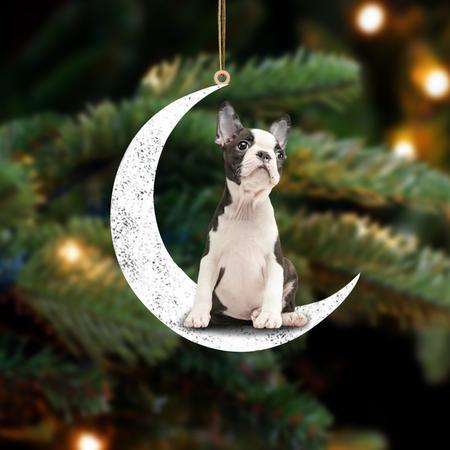 Boston 2-Sit On The Moon-Two Sided Ornament - Best gifts your whole family