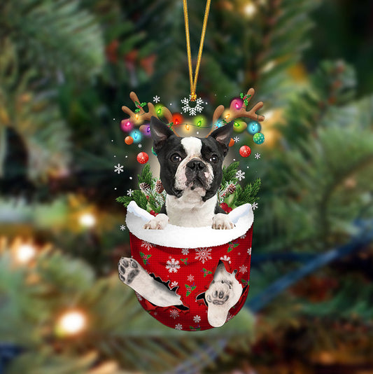 Boston Terrier-In Christmas Pocket Two Sides Ornament, Christmas Dog Hanging Ornament - Best gifts your whole family