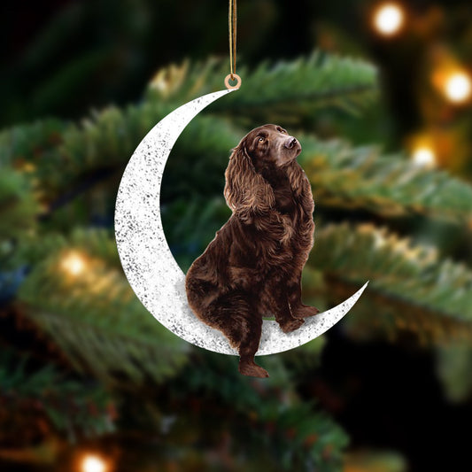 Boykin Spaniel Sit On The Moon Two Sided Ornament Dog Hanging Christmas Ornament - Best gifts your whole family