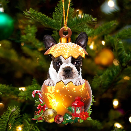 BRINDLE Boston Terrier In Golden Egg Christmas Ornament - Best gifts your whole family