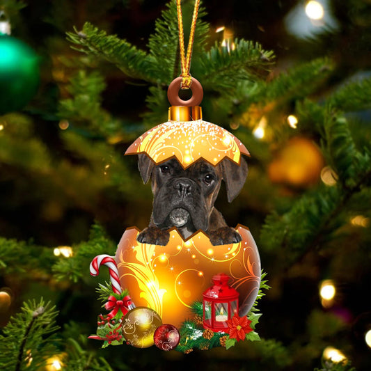 BRINDLE Boxer In Golden Egg Christmas Ornament - Best gifts your whole family