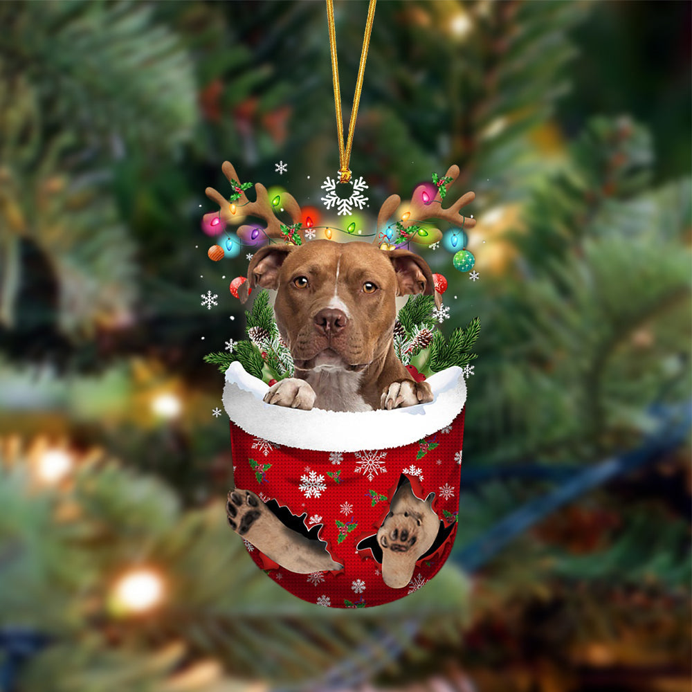 Brown Pitbull-In Christmas Pocket Two Sides Ornament, Christmas Dog Hanging Ornament - Best gifts your whole family