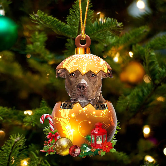 BROWN Pitbull In Golden Egg Christmas Ornament - Best gifts your whole family