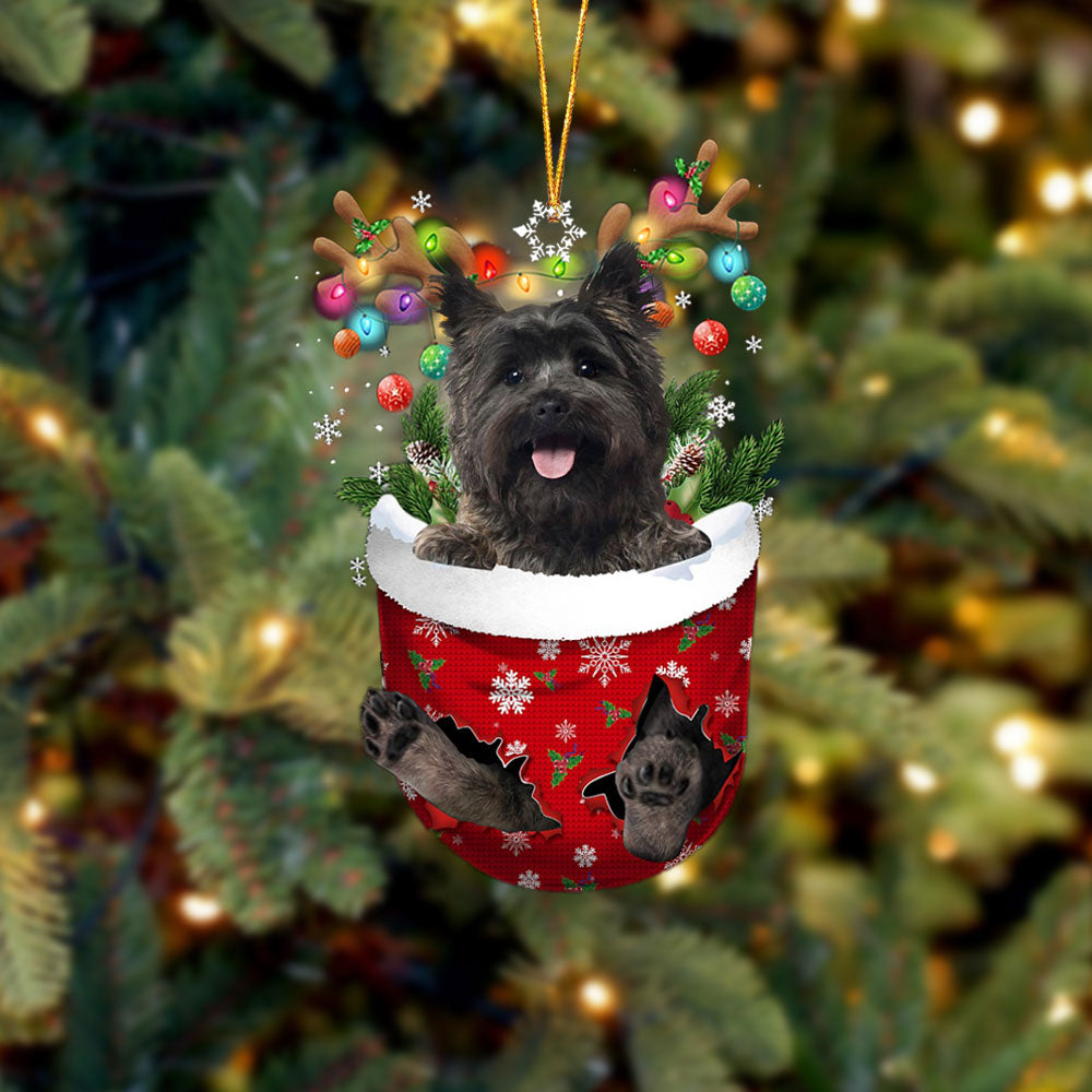 Cairn Terrier 2 In Snow Pocket Christmas Ornament Flat Acrylic Dog Ornament - Best gifts your whole family