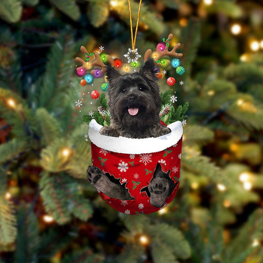 Cairn Terrier 2 In Snow Pocket Christmas Ornament Flat Acrylic Dog Ornament - Best gifts your whole family