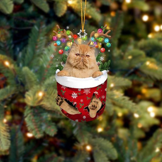 Cat 1 In Snow Pocket Christmas Ornament - Best gifts your whole family