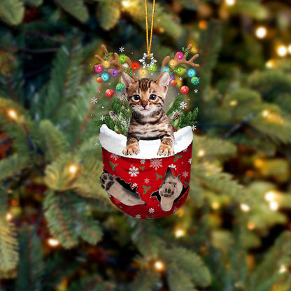 Cat 10 In Snow Pocket Christmas Ornament - Best gifts your whole family