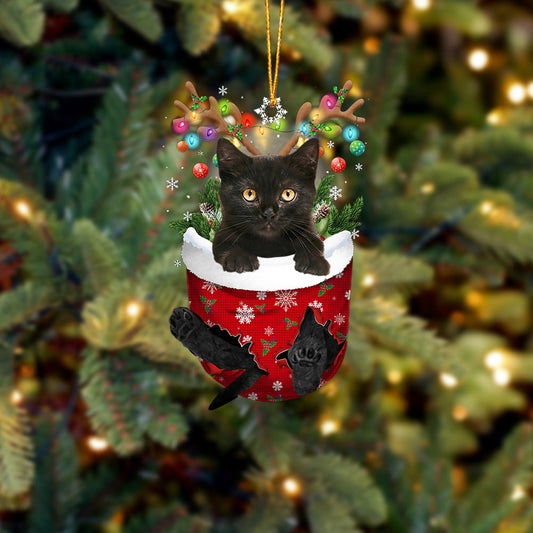Cat 12 In Snow Pocket Christmas Ornament - Best gifts your whole family
