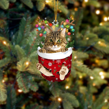 Cat 13 In Snow Pocket Christmas Ornament - Best gifts your whole family