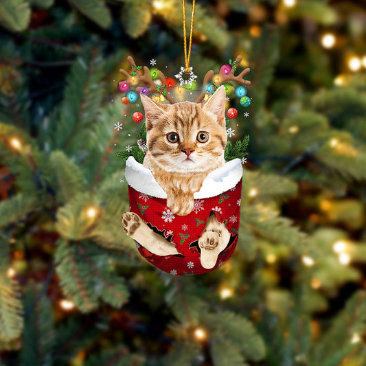 Cat 14 In Snow Pocket Christmas Ornament - Best gifts your whole family