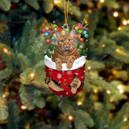 Cat 15 In Snow Pocket Christmas Ornament - Best gifts your whole family