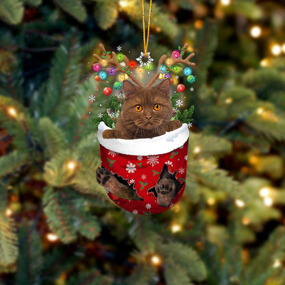 Cat 17 In Snow Pocket Christmas Ornament - Best gifts your whole family