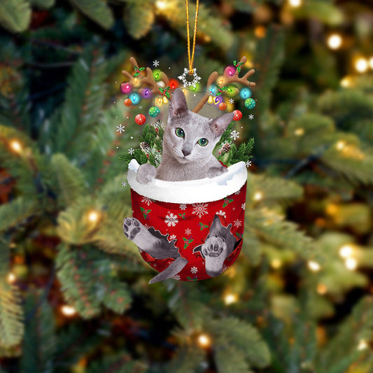 Cat 21 In Snow Pocket Christmas Ornament - Best gifts your whole family