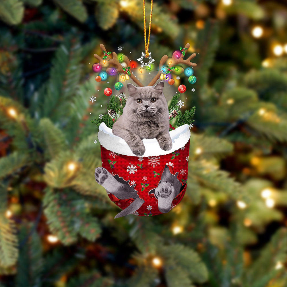 Cat 24 In Snow Pocket Christmas Ornament - Best gifts your whole family