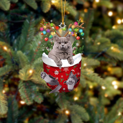 Cat 24 In Snow Pocket Christmas Ornament - Best gifts your whole family