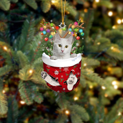 Cat 26 In Snow Pocket Christmas Ornament - Best gifts your whole family
