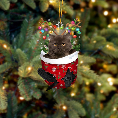 Cat 3 In Snow Pocket Christmas Ornament - Best gifts your whole family