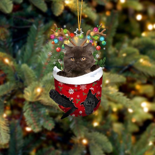 Cat 3 In Snow Pocket Christmas Ornament - Best gifts your whole family