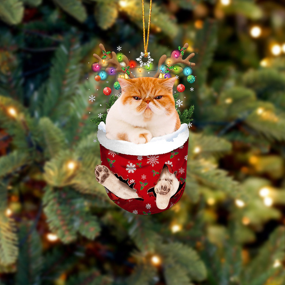 Cat 30 In Snow Pocket Christmas Ornament - Best gifts your whole family