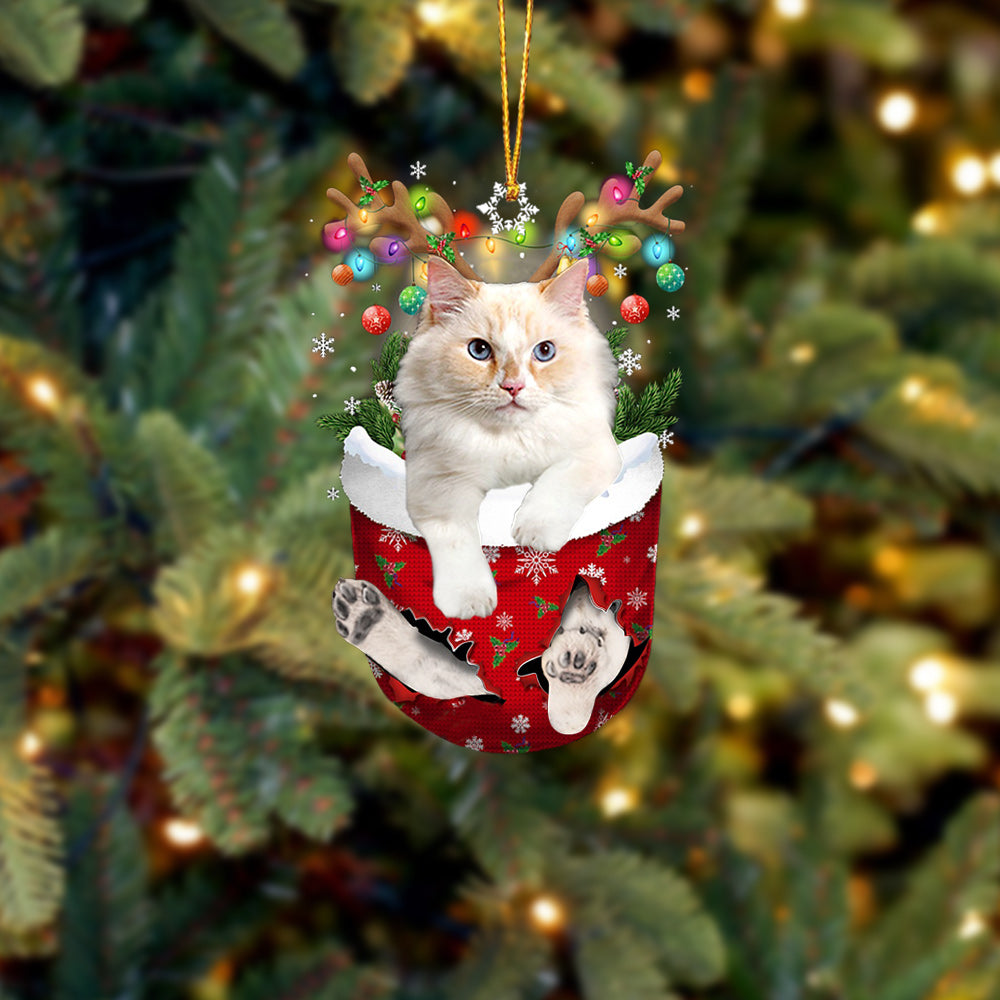 Cat 34 In Snow Pocket Christmas Ornament - Best gifts your whole family