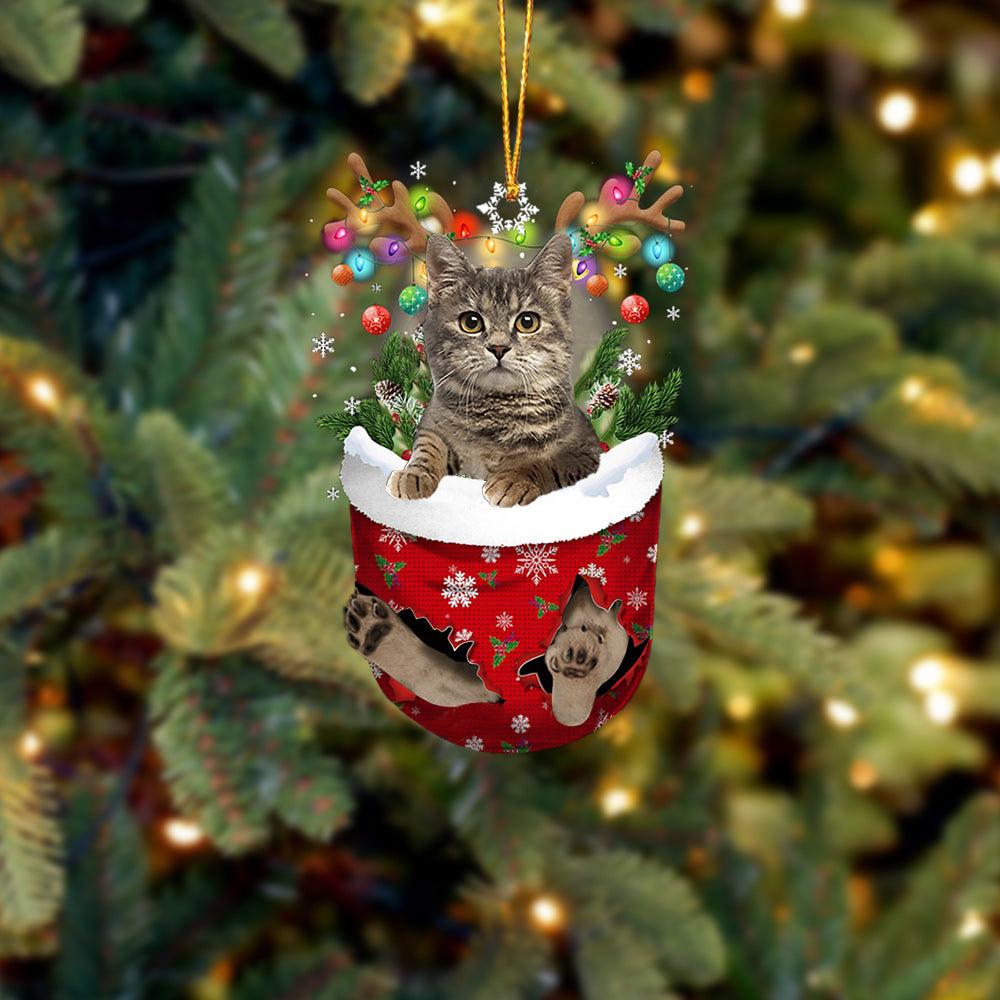 Cat 35 In Snow Pocket Christmas Ornament - Best gifts your whole family